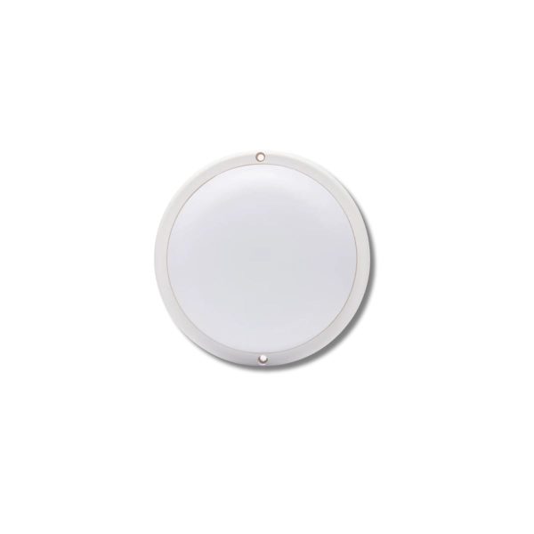 Tortuga redonda 8w Sica blanca  [UM 1u | 5u | 40u]